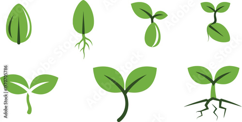Set of green sprout icons showing plant growth stages from seed to seedling with roots flat vector illustration for nature and agriculture concepts