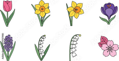 Collection of spring flower icons including tulips daffodils crocuses hyacinths lily of the valley and cherry blossoms flat vector illustrations for seasonal design