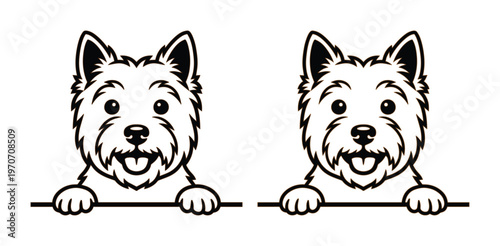 West Highland White Terrier peeking vector illustration, cute Westie dog head with paws over edge, black and white pet line art set