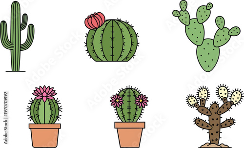 Collection of flat design cactus icons diverse desert plants in simple vector art for graphic design and illustration isolated on white