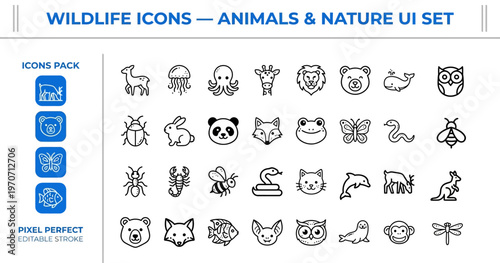 Outline vector icon set of wild animals, insects and nature
