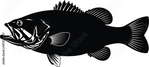 Predatory freshwater fish silhouette with spiny dorsal fin, large mouth, and streamlined body, symbolizing bass species, aquatic wildlife, fishing, and nature illustration design.