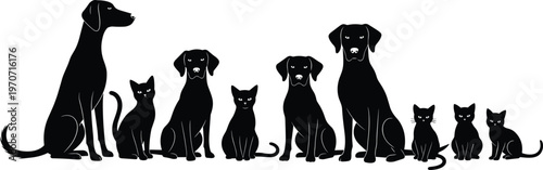 Silhouettes of cats and dogs sitting side by side in alternating sequence, showcasing pet diversity, animal companionship, and domestic animal illustration for design projects