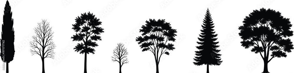 Fototapeta premium Variety of tree silhouettes including conifer, deciduous, and seasonal forms, symbolizing diversity in nature, forest landscape, and botanical illustration for design use.