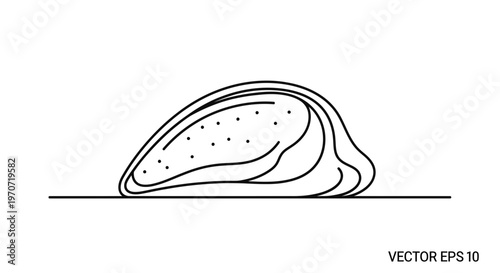 Simple Line Art Illustration of a Mussel Shell on a White Background
