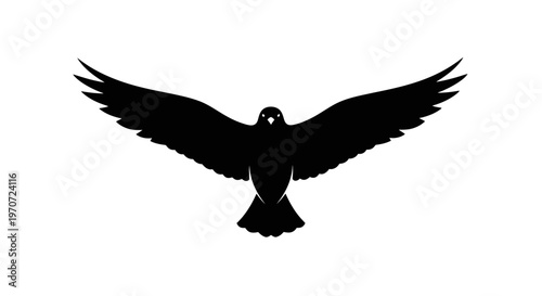 black bird with wings spread vector illustration