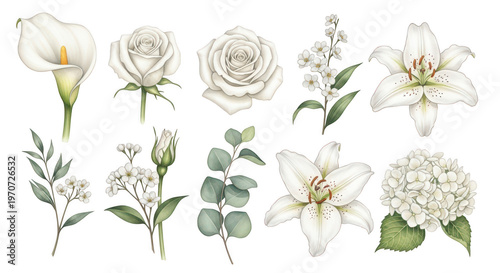 Collection of individual watercolor cream flower elements including roses lilies and calla lilies