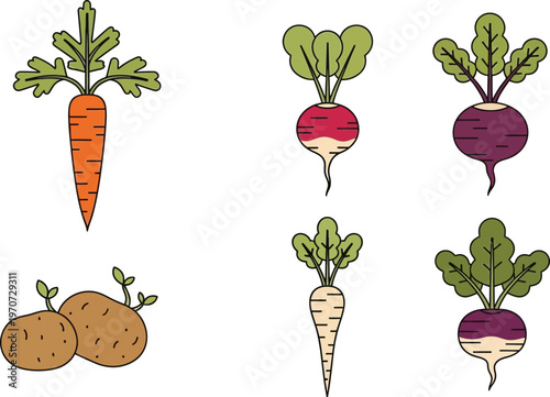 Collection of root vegetable icons including carrot radish beet parsnip and potato in a simple flat design for healthy eating and agriculture concepts