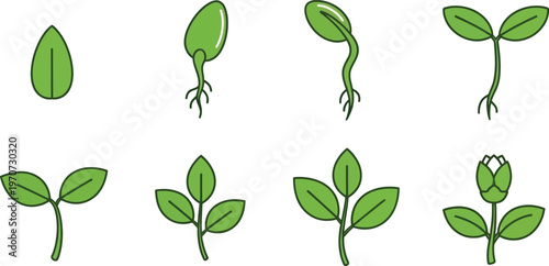 Plant growth stages icons showing seedling development from seed to bud flat vector illustration for biology and nature concepts