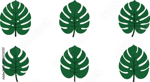 Collection of Monstera leaf icons tropical plant symbols in flat design for nature and wellness concepts isolated on white background