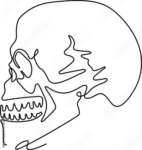Minimalist Continuous Line Illustration of Human Skull Profile Representing Anatomy Identity and Abstract Elegance Concept