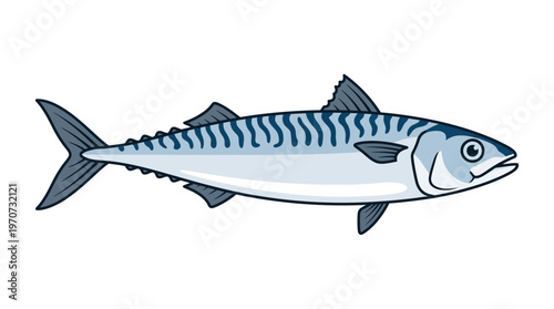 Minimal flat vector illustration of a mackerel fish, striped body simplified design, seafood ingredient concept, clean outline