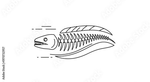 Fish Skeleton Fossil Outline Vector Illustration
