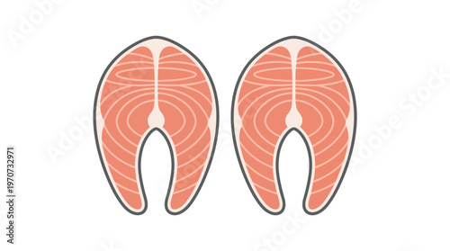 Simple flat vector of two fish fillet slices arranged symmetrically, fresh seafood concept, minimal style, clean outline, limited color palette