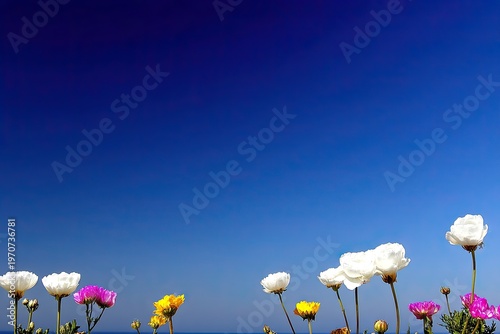 flowers and sky
