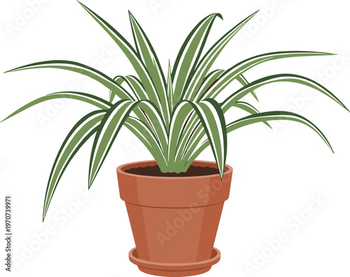 Illustration of Spider Plant in a Pot with Long Green Leaves for Indoor Gardening, Home Decor, and Botanical Design Projects