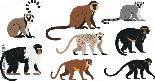 Illustration Set of Monkeys in Various Species and Poses for Wildlife, Nature, and Animal Design Projects