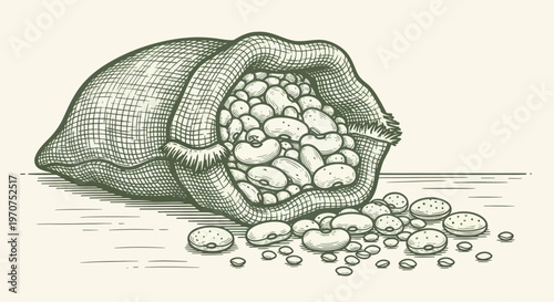 Hand-drawn illustration of a burlap sack filled with white beans, spilling onto a surface.