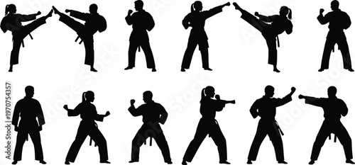 Vector set of martial arts karate silhouettes, men and women practicing karate kicks, punches, stances, fighting poses, self-defense training, combat sport illustration