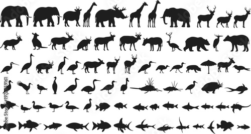 Wild animals birds and fish silhouettes collection, black vector icons, wildlife design, forest jungle aquatic animals, nature creatures clipart bundle