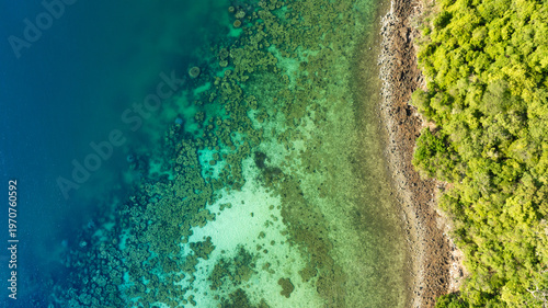 Aerial view of a dense, vibrant green coastal jungle meeting dark blue ocean water. A thin, rocky beach and white foamy waves separate the rugged terrain from the sea.concept nature	