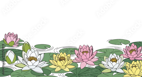 Illustration of colorful lotus flowers and lily pads on a serene water surface with a white background.