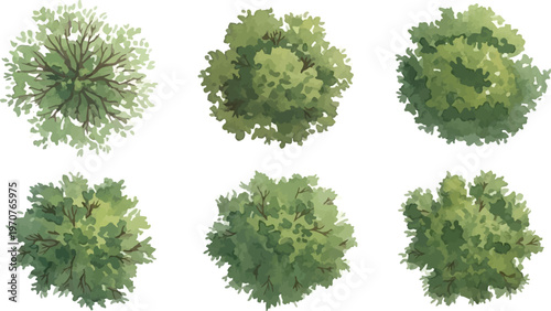 Top view tree vector set, 6 green aerial view trees for architectural site plans, landscape design elements for masterplan and garden mapping