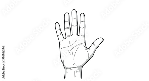 Detailed black and white line drawing of an open human palm showing major lines used in palmistry or palm reading.