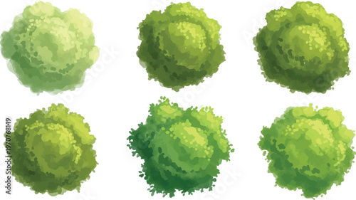 Top view tree crown vector set, 6 green bush icons for architectural site plans, aerial garden landscape design elements, nature map symbols