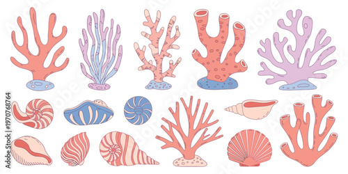 Coral Reef and Seashell Vector Set with Colorful Underwater Marine Plants, Ocean Life Elements, Tropical Aquatic Illustration, Decorative Sea Nature Collection for Design