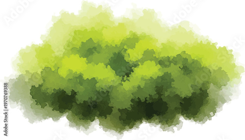 Watercolor green bush vector illustration, lush garden shrub with textured foliage, organic nature element for landscape design and botanical art
