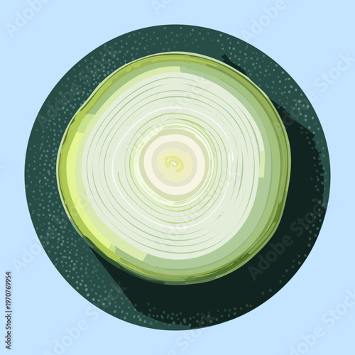 Fresh green cabbage head top view showing layered leaves and crisp texture for vegetable cooking theme - Vector Illustration