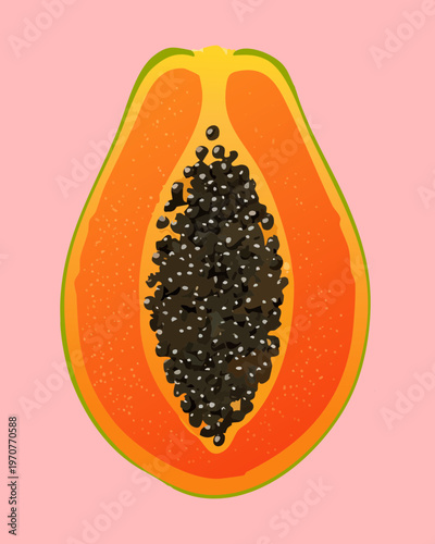 Sliced papaya fruit with black seeds and orange flesh for tropical food and healthy organic diet graphics - Vector Illustration