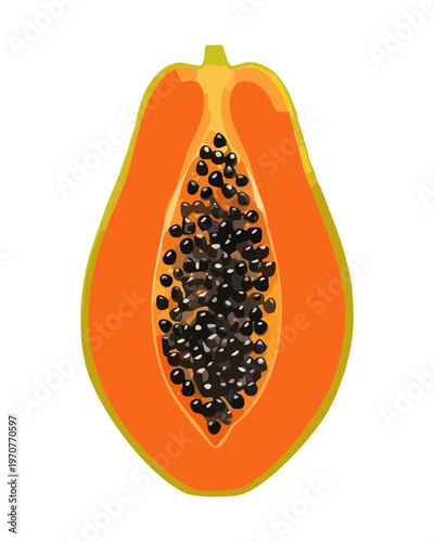 Half of ripe papaya fruit showing seeds for tropical dessert and healthy lifestyle food menu illustration elements - Vector Illustration