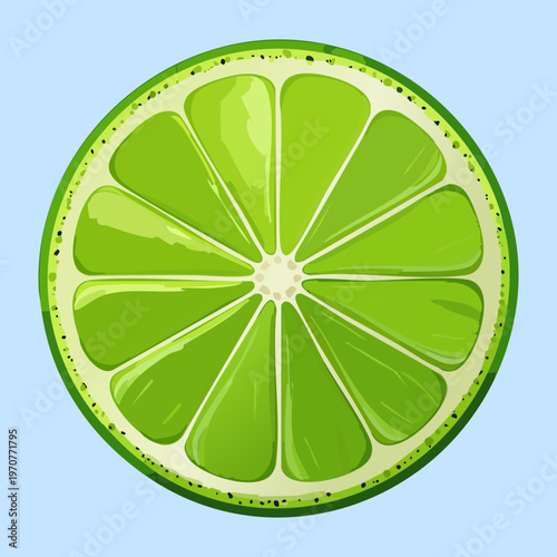 Vibrant green lime fruit slice with radial symmetry for refreshing lemonade and tropical drink illustration for cafe menu - Vector Illustration