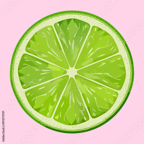 Fresh lime slice with juicy pulp and green skin for refreshing summer drink and cocktail menu design elements - Vector Illustration