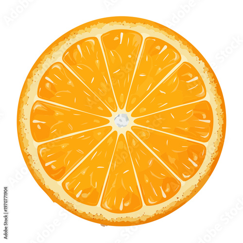 Fresh orange slice with juicy pulp and bright skin for healthy citrus juice and vitamin c rich snacks - Vector Illustration