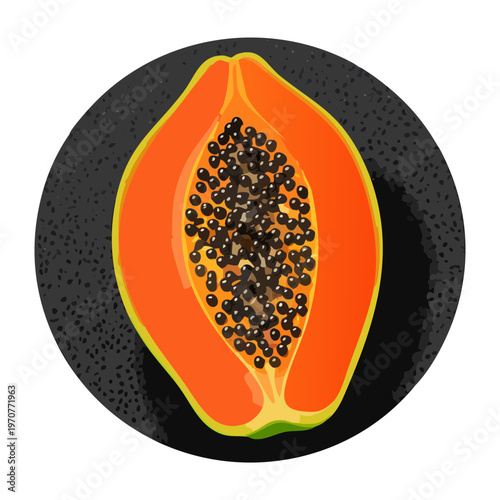Half of a ripe papaya showing black seeds and orange flesh for healthy tropical fruit snack and smoothie - Vector Illustration