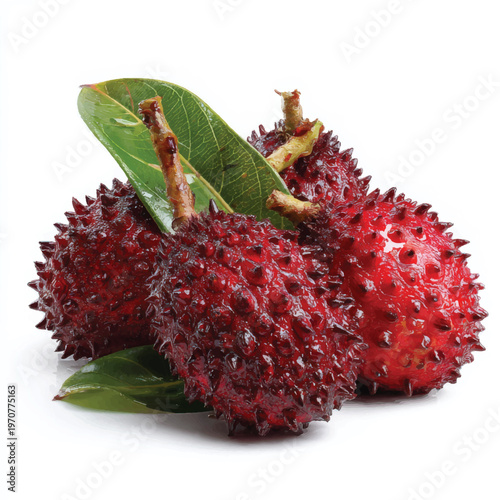 A close-up of rambutan fruits and leaves