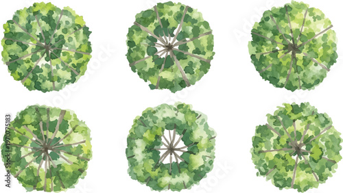 Watercolor tree top view collection, set of 6 architectural landscape plan symbols, green forest canopy overhead icons for site mapping and design