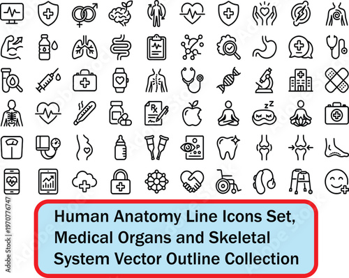 Human Anatomy Line Icons Set, Medical Organs and Skeletal System Vector Outline Collection