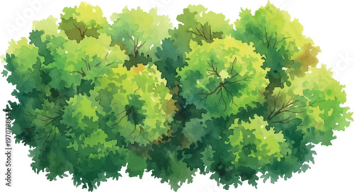 Watercolor green tree crown vector, lush forest foliage and garden shrubbery, organic leafy bush texture, natural vegetation for landscape design