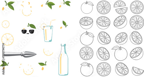 Orange Juice Preparation Vector Set with Hand Drawn Citrus Slices Tools Glass Bottle and Outline Illustration Collection