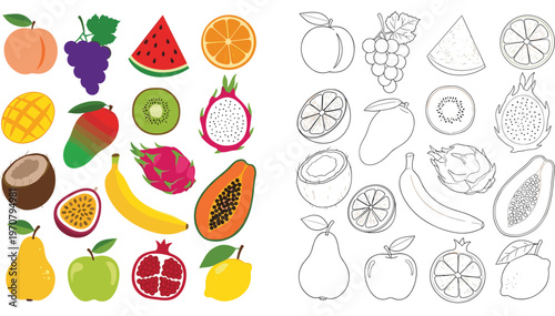 Tropical Fruits Vector Set with Colored and Outline Versions Featuring Mango Banana Dragon Fruit Coconut and More Illustration Collection