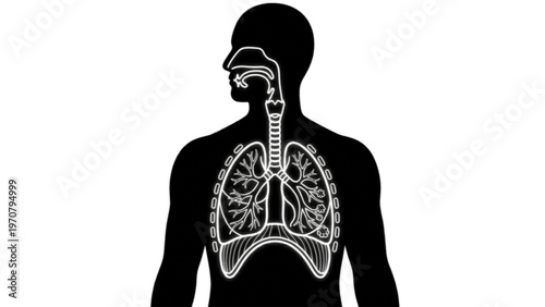 Human respiratory silhouette vector 