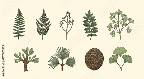 Detailed botanical illustrations of various ancient prehistoric plant species including ferns, ginkgo leaves, and a large textured pine cone.
