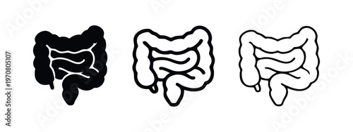 Intestines Icon Set. Human Digestive Organs Symbol (Large and Small) in Solid and Outline Styles.