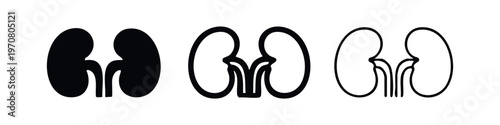 Human Kidney Organ Icons Set. Medical Anatomy Symbol for Healthcare and Biology.