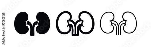 Human Kidneys Icon Set. Urinary System Organ Symbol in Solid and Outline Styles.