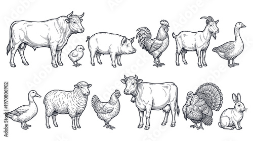 Farm animals collection in vintage illustration style vector.
